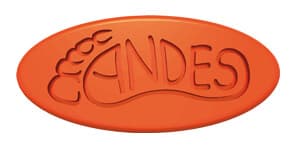 Logo de Cauchos Andes